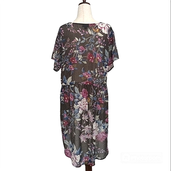 🎁 NWOT Torrid, Sheer, Hi-Lo Tunic. Elastic Waist, Short Sleeves, Fabric Buttons - Picture 2 of 16